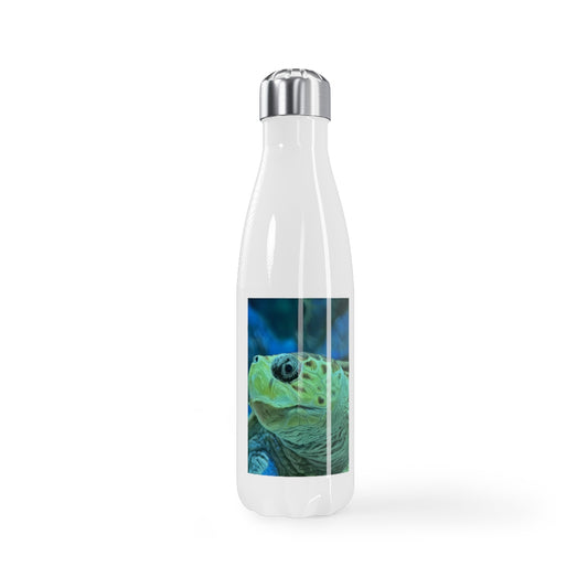 Stainless Steel Water Bottle, 17oz