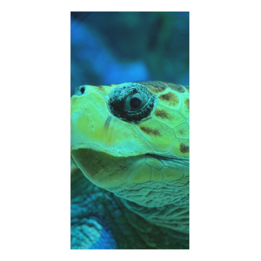 Standard Beach Towel, 30x60